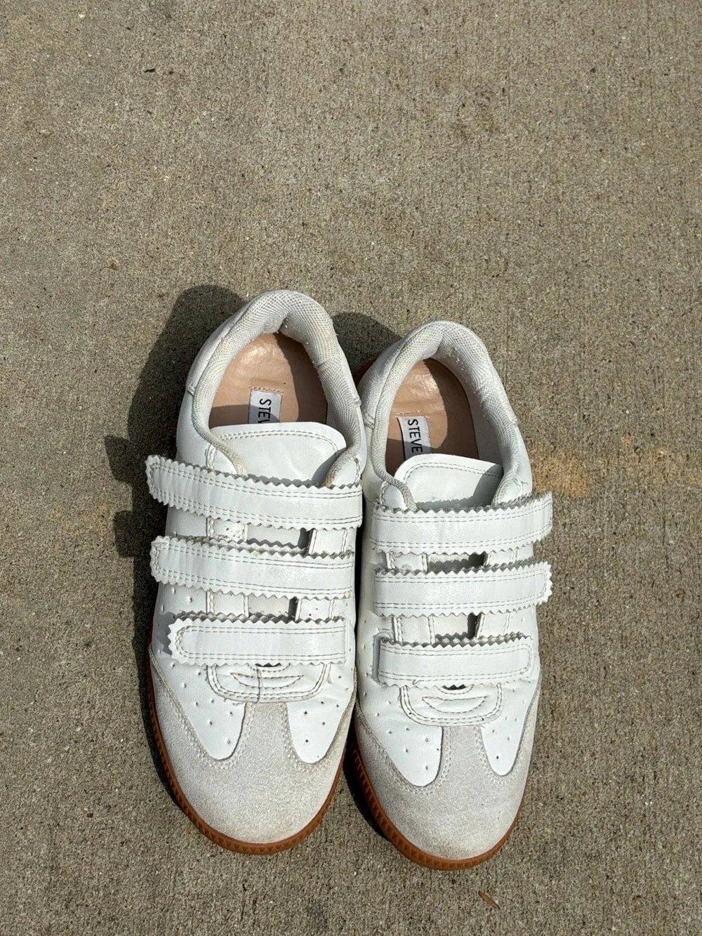 Steve Madden Momentum